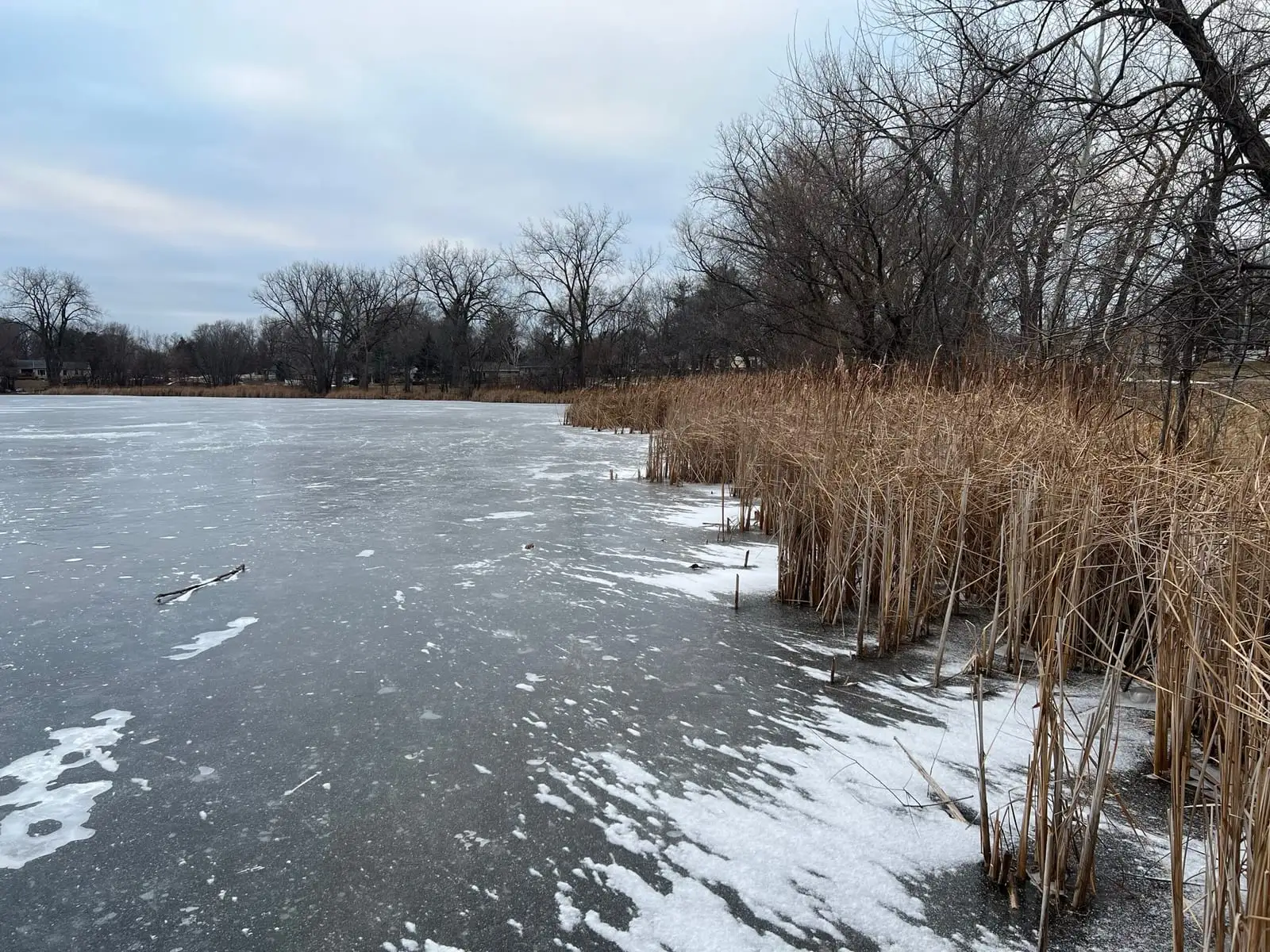 View of Maplewood, MN